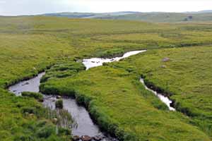 Randonnées sur l'Aubrac