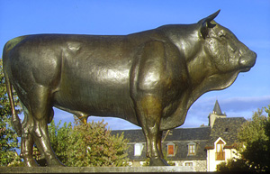 Le taureau de Laguiole Le taureau de Laguiole